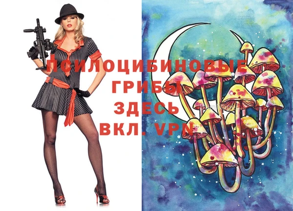 гашик Алзамай